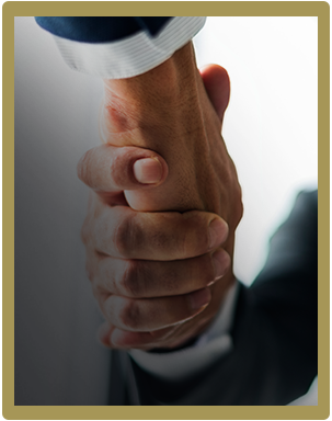 Style Brokers Florais