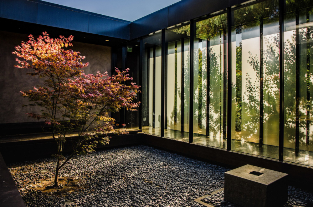 Arquitetura biofílica: a tendência que une luxo, natureza e bem-estar